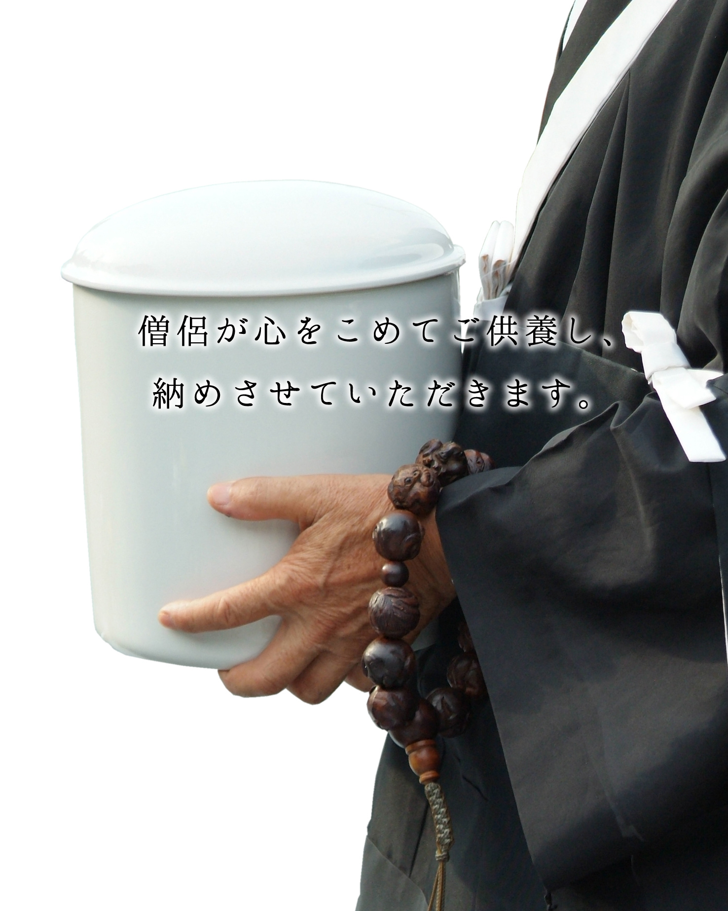 img20190217180055676675.jpg